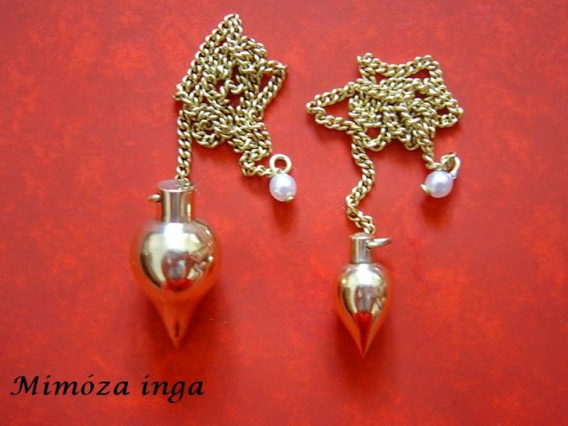 MIMÓZA INGA - 1 CM