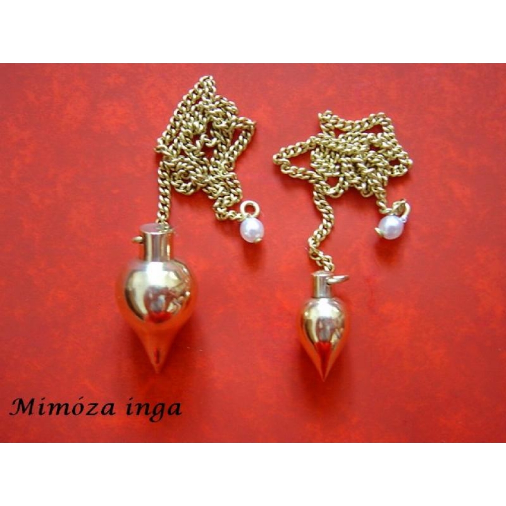 MIMÓZA INGA - 1,5 CM